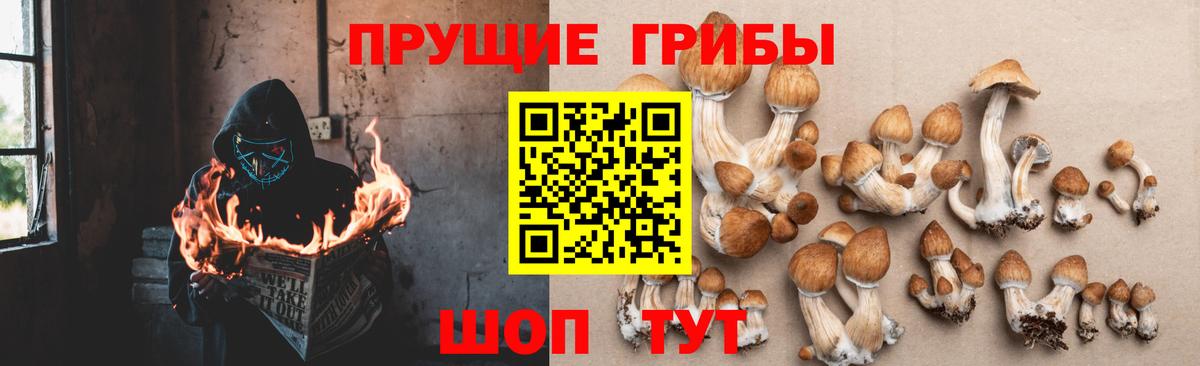 Карачаевск  Галлюциногенные грибы мицелий  Вход с VPN 